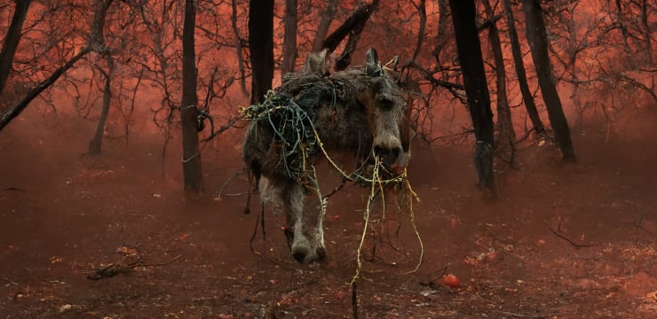 Jon Rafman Counterfeit, 2022 (Still) 4K stereo video