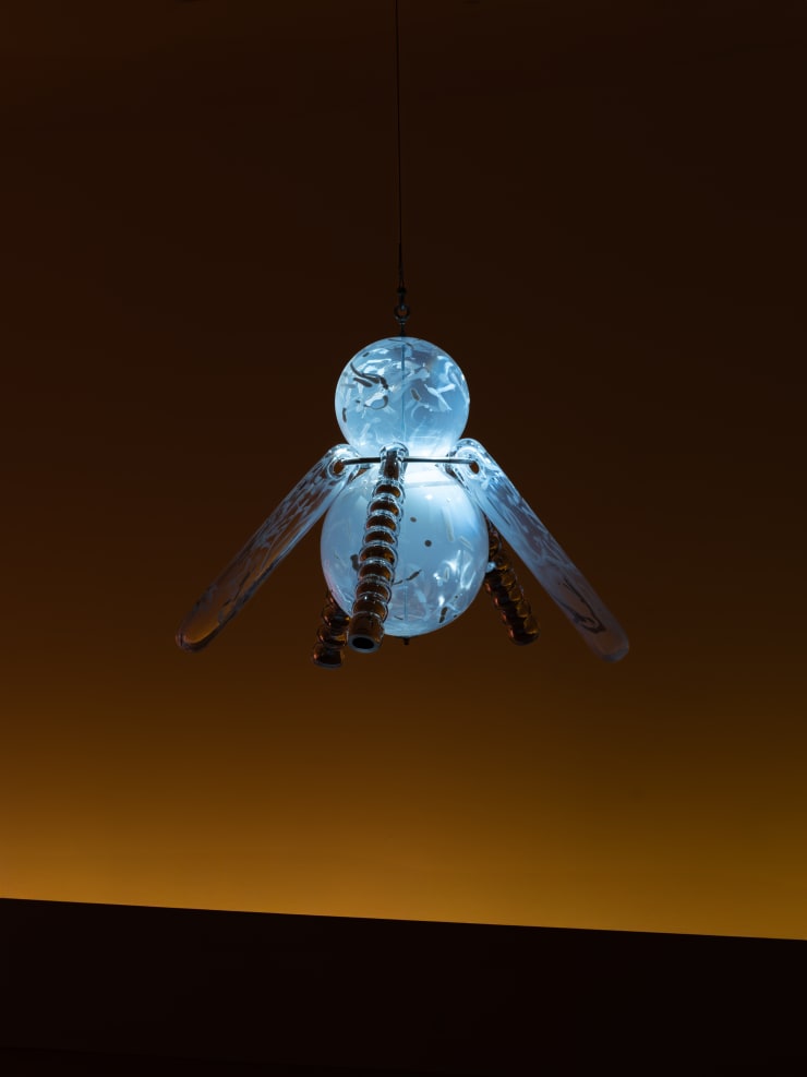 Kbcb Denissavary Nashville 08 Photoleakunz