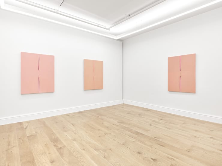 Eli Ping Hard Goods Bernheim London Installation View 06