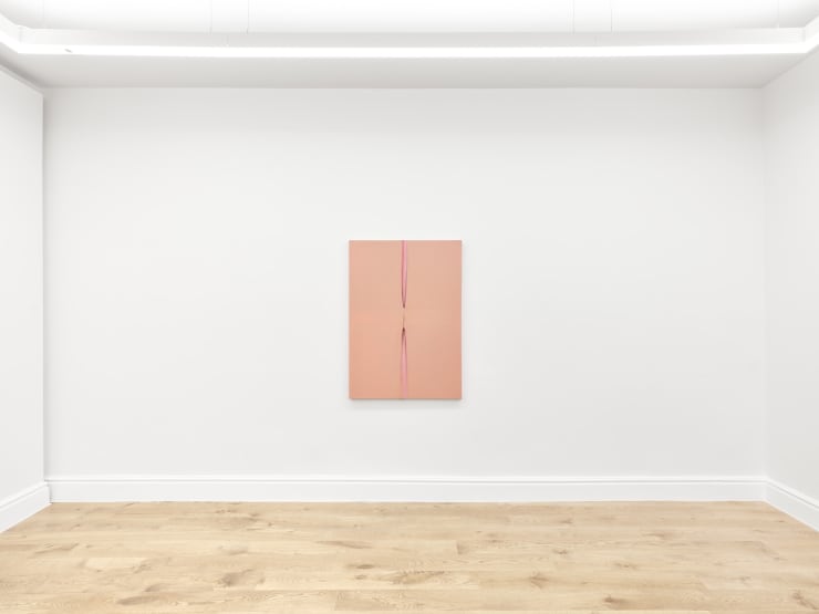 Eli Ping Hard Goods Bernheim London Installation View 08