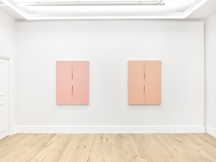 Eli Ping Hard Goods Bernheim London Installation View 09