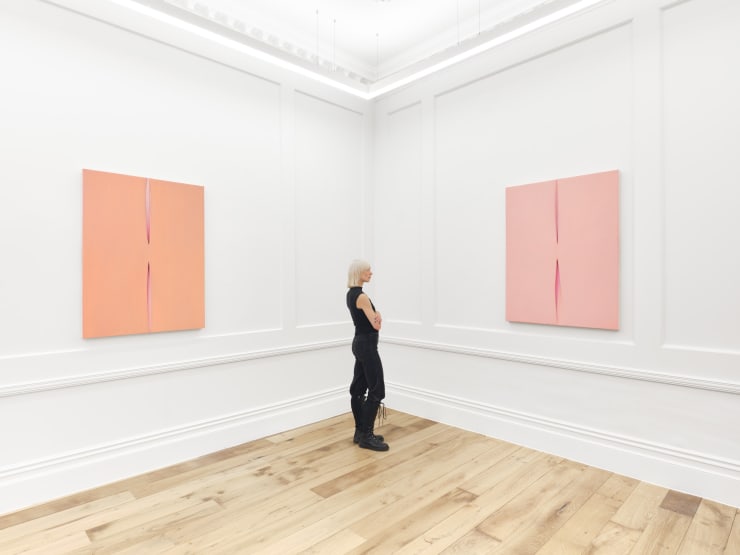 Eli Ping Hard Goods Bernheim London Installation View 17