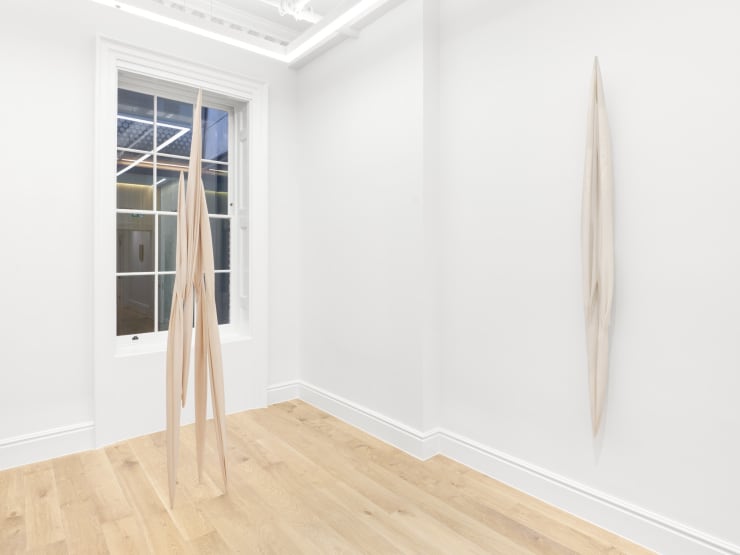 Eli Ping Hard Goods Bernheim London Installation View 19
