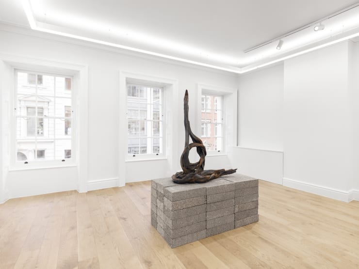 Eli Ping Hard Goods Bernheim London Installation View 24