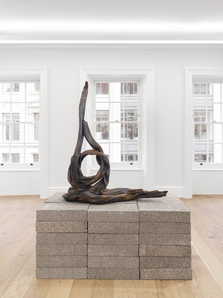 Eli Ping Hard Goods Bernheim London Installation View 25