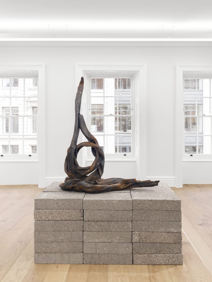 Eli Ping Hard Goods Bernheim London Installation View 26