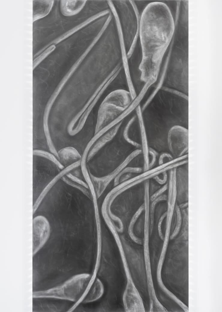 Self-Portrait Juan Antonio Olivares