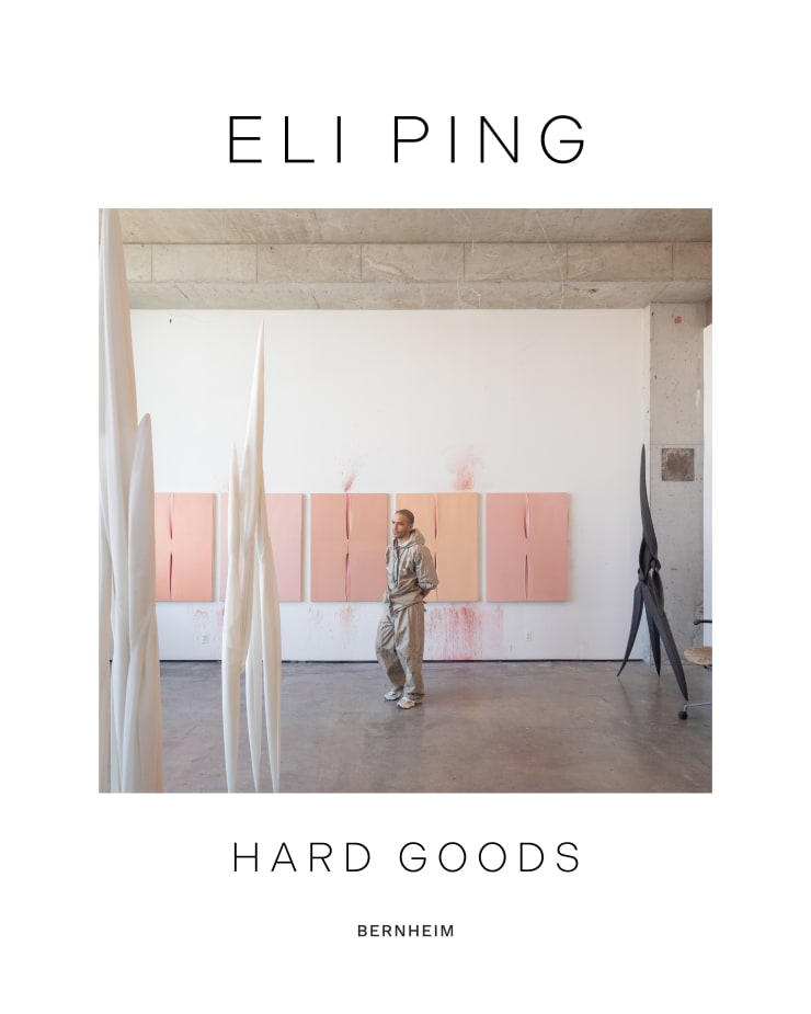 Hard Goods Eli Ping