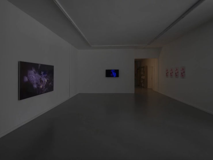 View of the video installation by Denis Savary, CEC, 2025 © Julien Gremaud