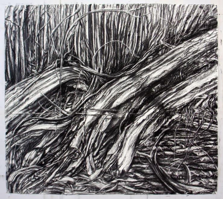 Opening April 12 | Ron Bechet & Hannah Chalew: You Can't Hide the Sun