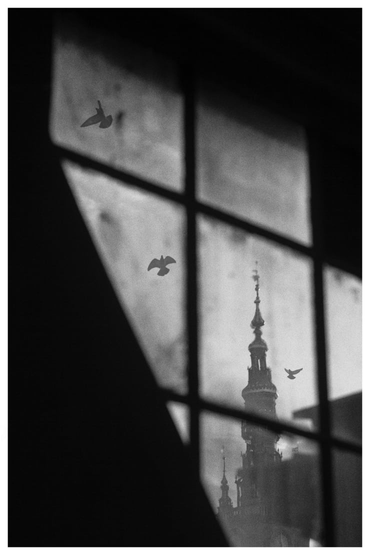 Silent Guardians II, Gdansk 2025