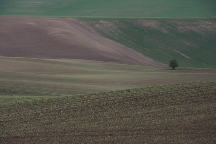 Evgeniya Strygina, Living Nature - 08, 2017