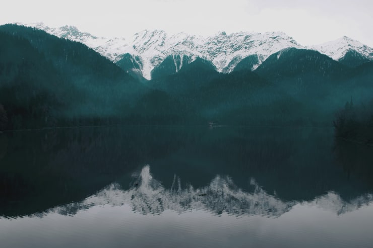 Living Nature