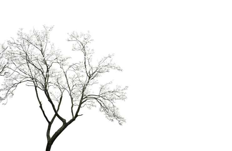 Evgeniya Strygina, Photoshopped - 02, 2010