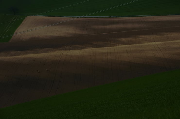 Evgeniya Strygina, Living Nature - 05, 2017