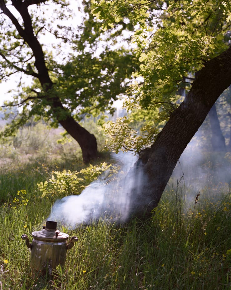 Nick Rosenoer, Samovar, 2025