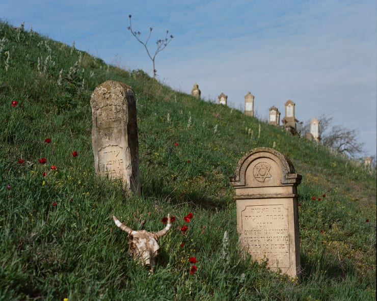 Nick Rosenoer, Graveyard, 2025