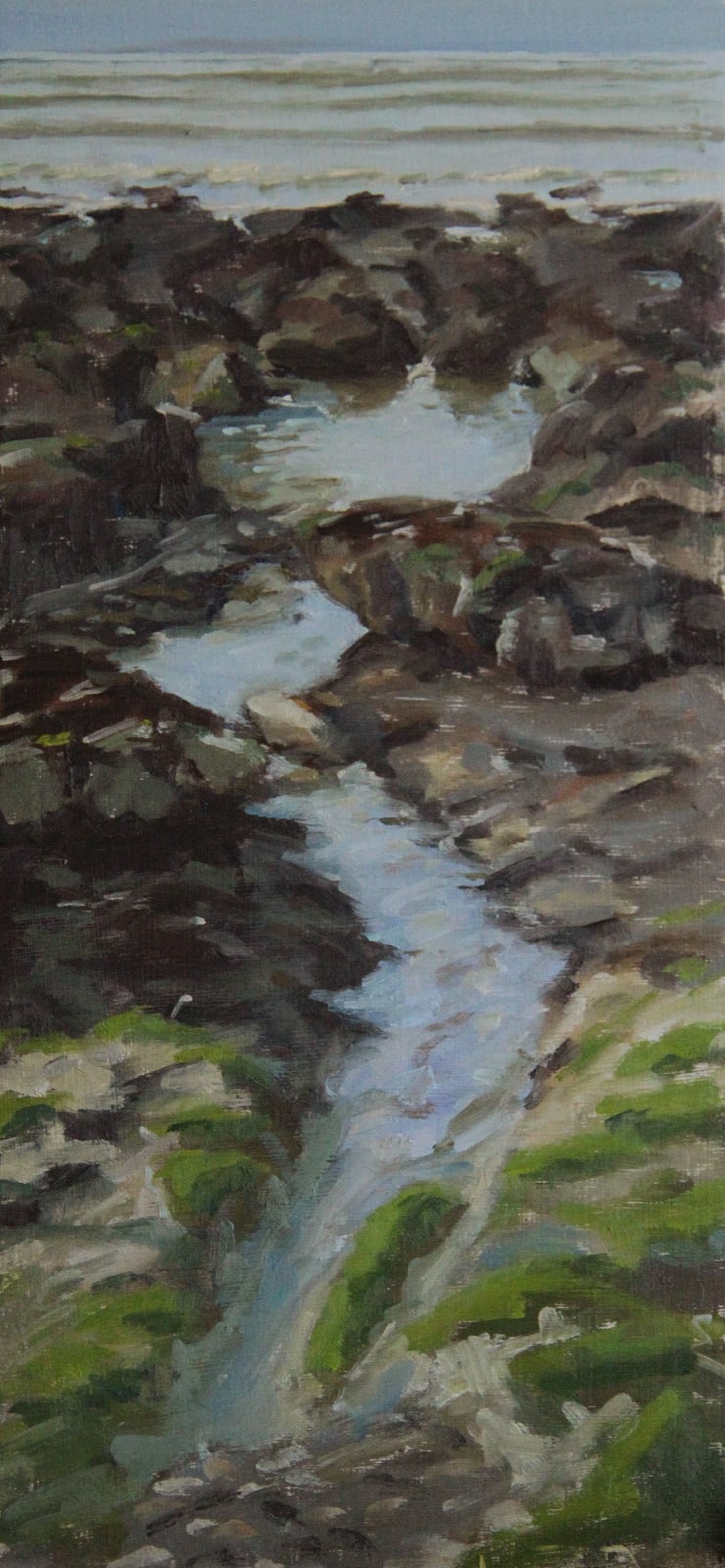 Shawn Lee, Rock Pool on Rottingdean Beach, 2024