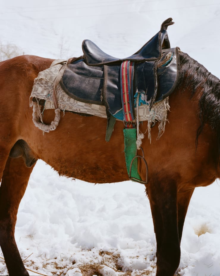 Nick Rosenoer, Horse, 2025