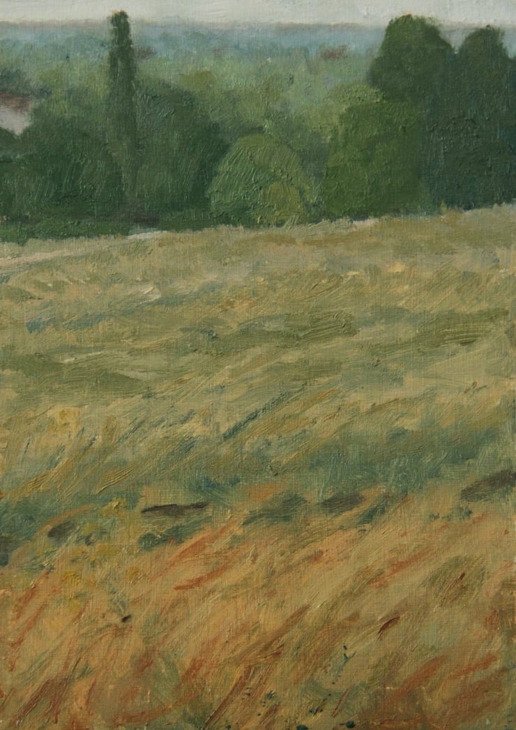 Shawn Lee, Wind Swept Fields in Richmond, 2024