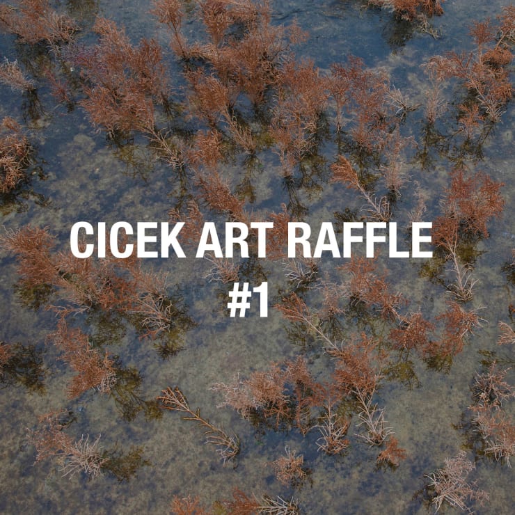 Cicek Art Raffle #1