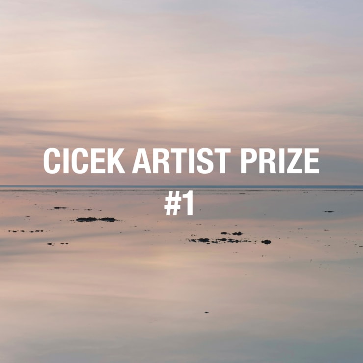 Cicek Artist Prize #1