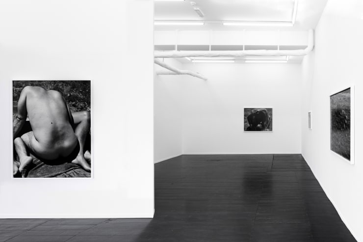 MARK ARMIJO MCKNIGHT Kiss of the Sun