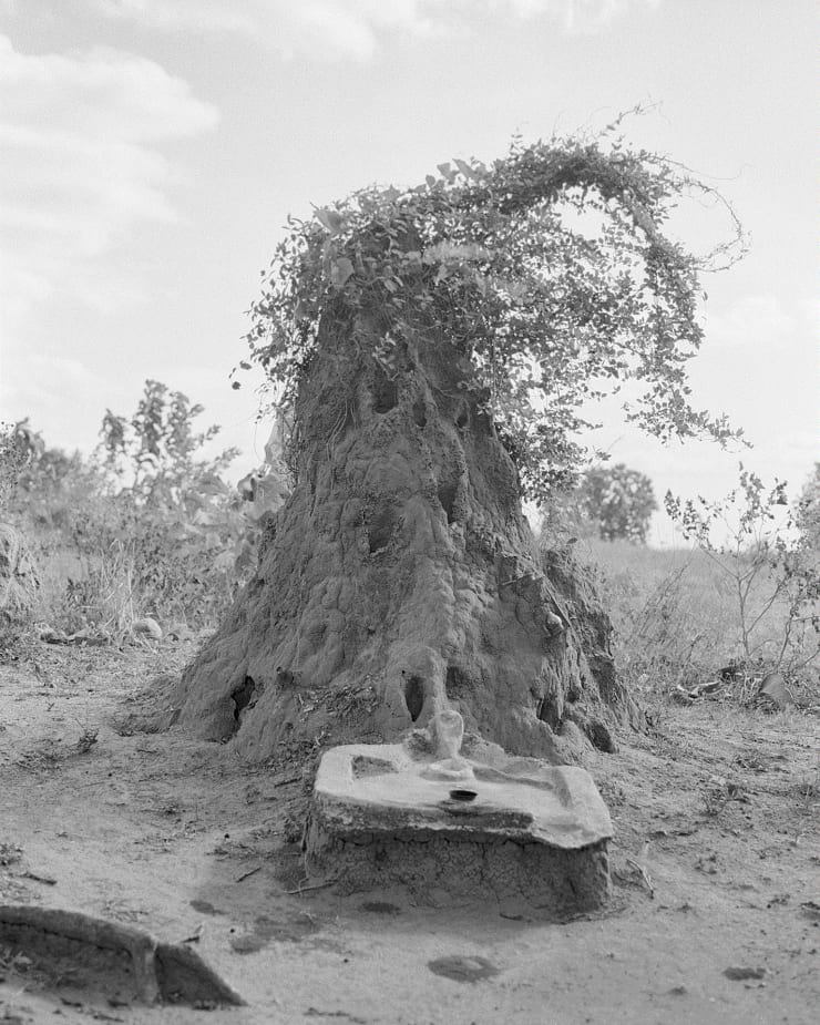 East Coast Essays, Tavish Gunasena