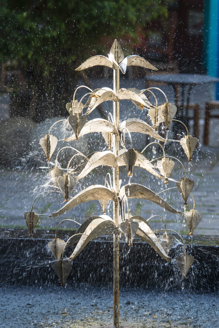 The Greedy Forest Laki Senanayake