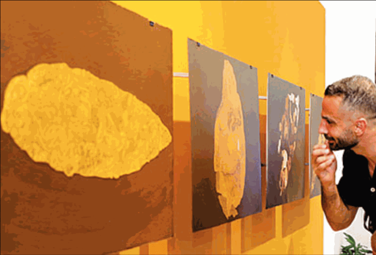 Catch the final day of Colomboscope