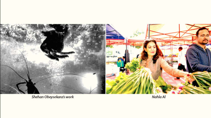 Colomboscope 2024: “Way of the Forest” through art and exploration