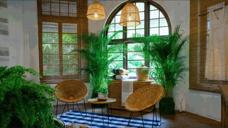 Barefoot in Sri Lanka creates spaces for design within art history discourse