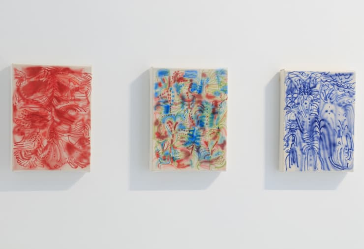 Sarah Giannobile, "Tiger Moth", installation view