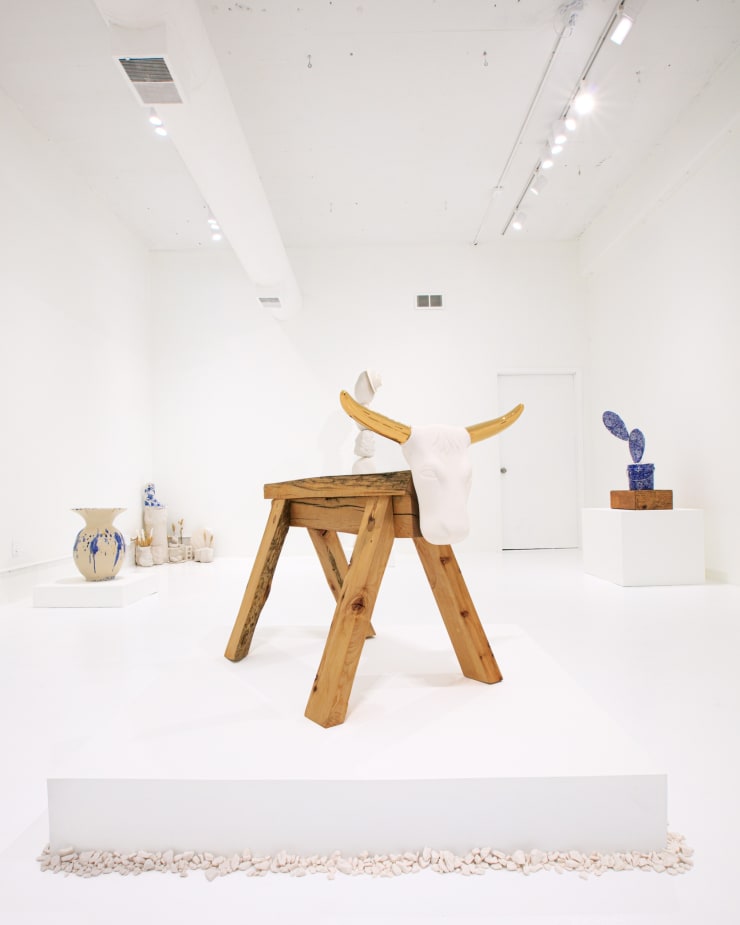 Brock DeBoer, "No Bull", installation view