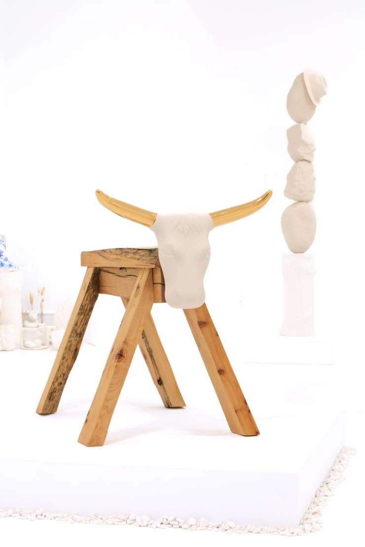 Brock DeBoer, "No Bull", installation view