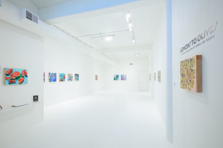Erika Lee Sears, "Lemons To Olives", installation view