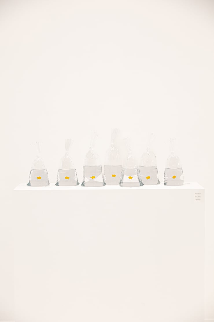 Dylan Martinez, "Glass Reimagined", installation view