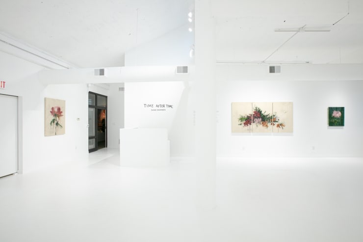 Sage Barnes "Time After Time" installation view