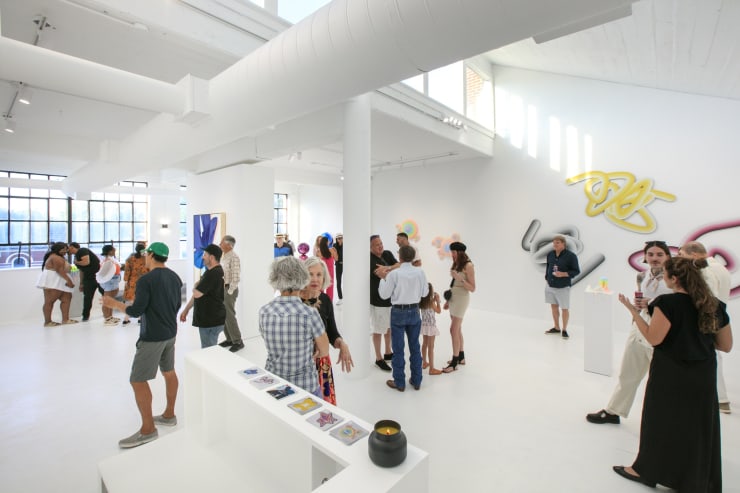 Dopamine installation view with guests featuring works from Arnaud Vidricaire, Carrie Gillen, Shawn Kolody & Dan Lam