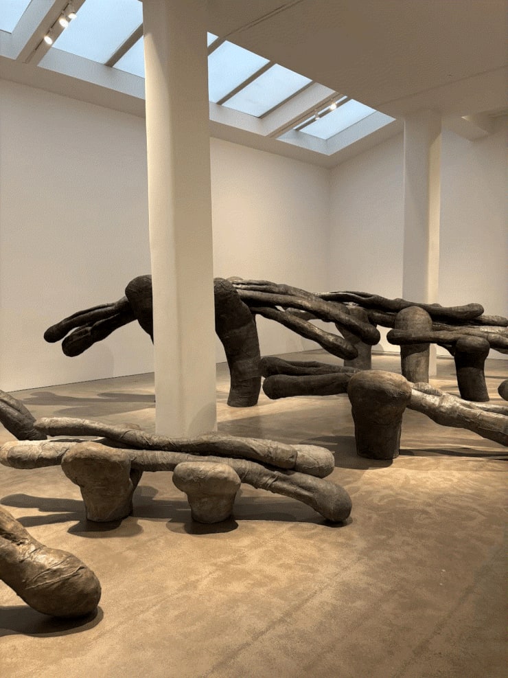 Installation view of Across the Bering Strait, 1992 - 1994, hydrocal over steel with cheesecloth and pigment.