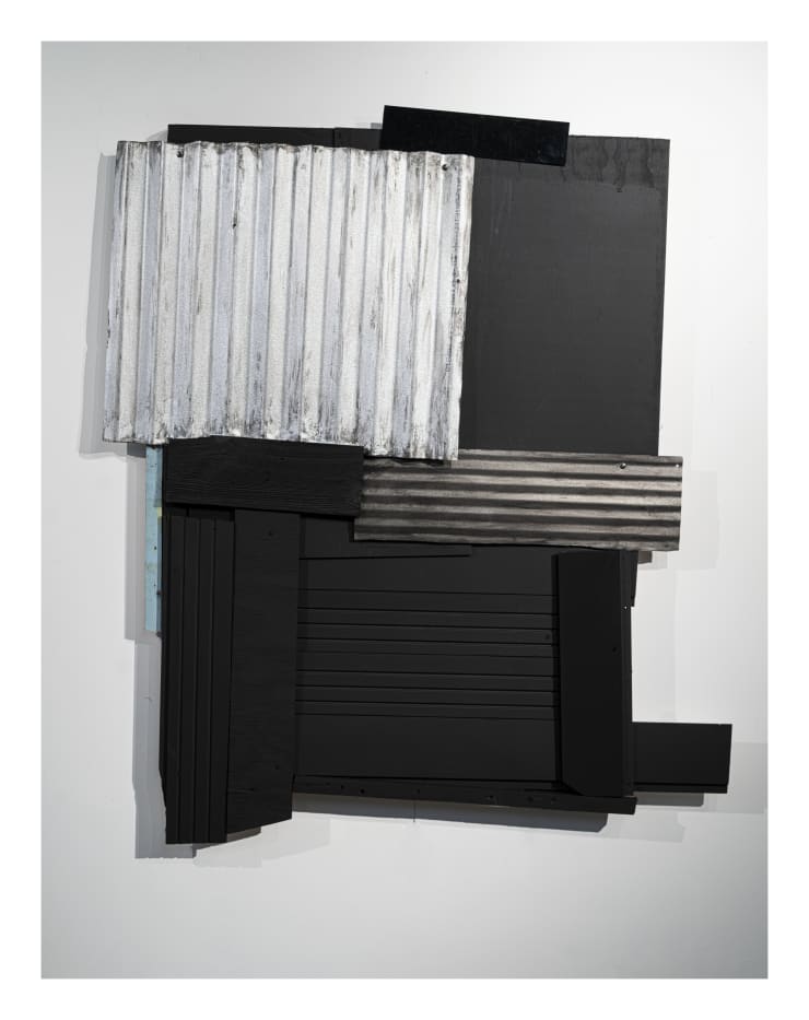 Tony Vazquez-Figueroa, Re /Emergence D, 2022