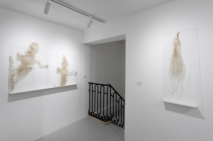 Elsa Salonen Laurent Edeline