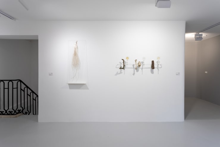 Elsa Salonen Laurent Edeline