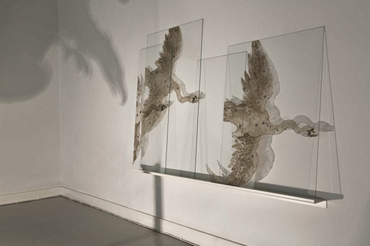 We Are All Made of Stardust (Cygnus)