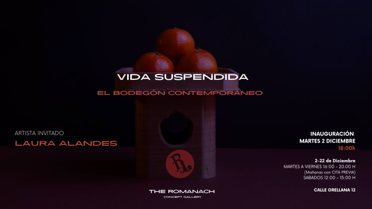 S O L O : VIDA SUSPENDIDA, LAURA ALANDES , EL BODEGÓN CONTEMPORÁNEO
