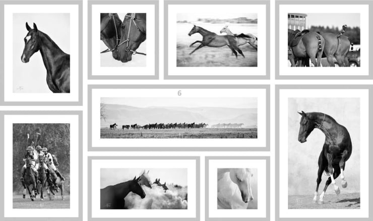 Artur Baboev Horse Collection 9 Photography