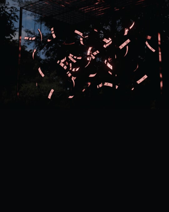 I am Not Your Dalit at India Art Fair