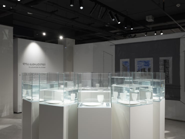 Installation view, Lia Bagrationi: 13 Aquariums & a Fish, Art Foundation Anagi, Tbilisi, 2025. Photo: Giorgi Shengelia.