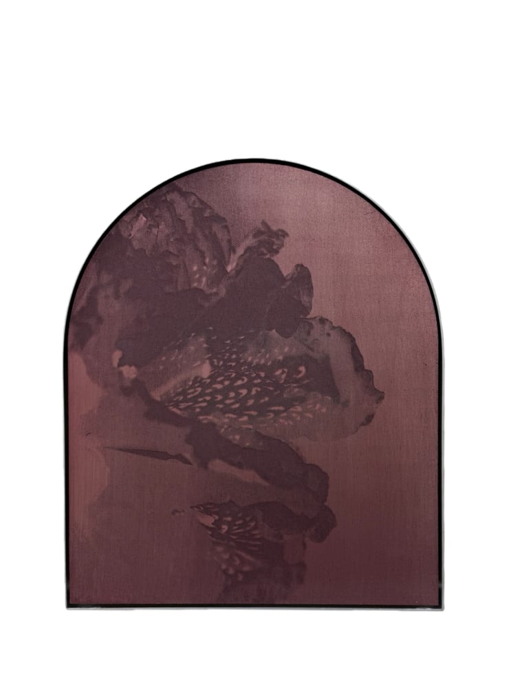 陈萧伊，To Blossom Blue-87，蚀刻锌版和油墨，36 × 30 cm，2025，独版 Chen Xiaoyi, To Blossom Blue-87, Etched zinc plate with oil ink, 36 × 30 cm, 2025, Unique