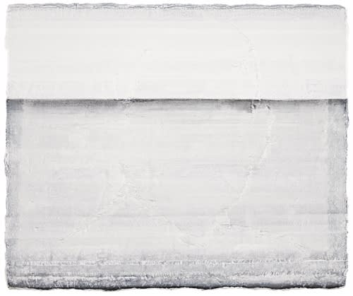 Wang Jun No 1 50 60Cm 2015